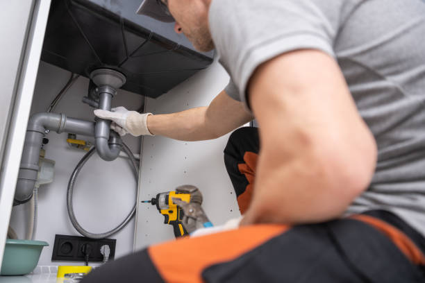 Best Garbage Disposal Repair and Installation  in Alafaya, FL